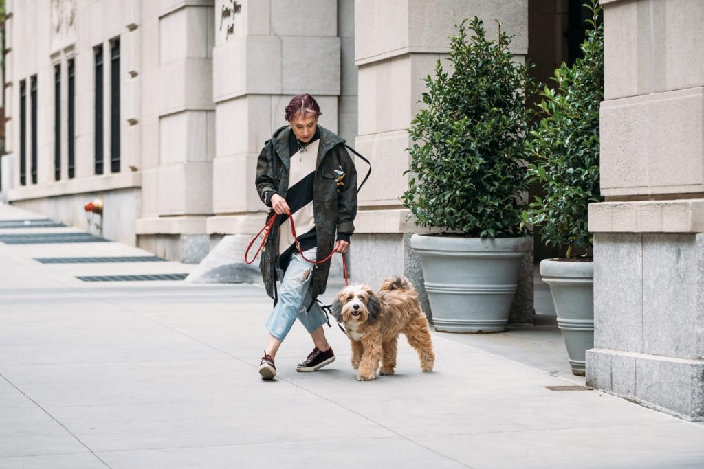 Dog Relations NYC trainer Elisabeth Weiss walking with Buddy